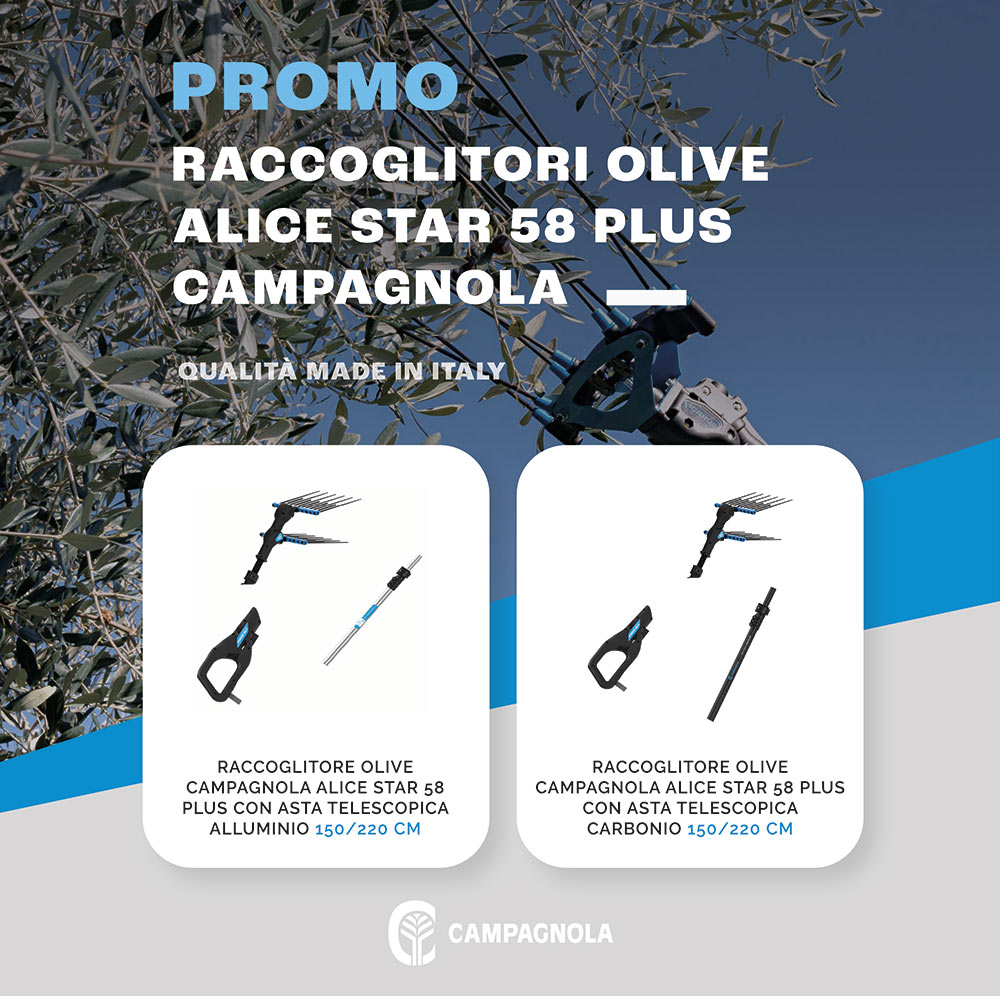 Promo raccoglitore olive Campagnola Alice star 58 - Mattolini Agrigarden